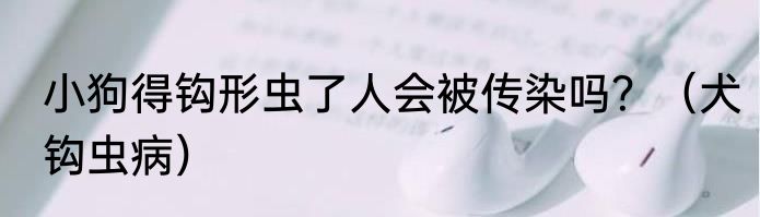 小狗得钩形虫了人会被传染吗？（犬钩虫病）