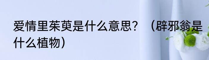 爱情里茱萸是什么意思？（辟邪翁是什么植物）
