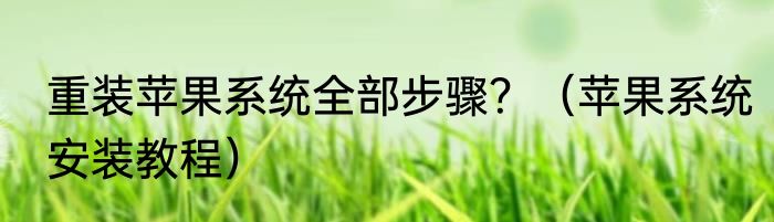 重装苹果系统全部步骤？（苹果系统安装教程）