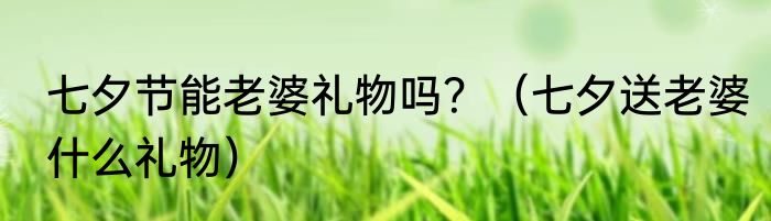 七夕节能老婆礼物吗？（七夕送老婆什么礼物）