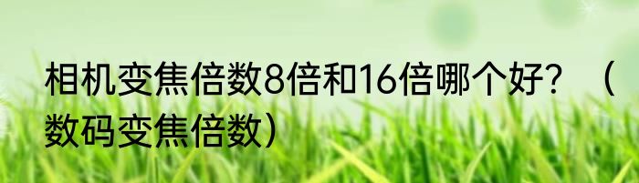 相机变焦倍数8倍和16倍哪个好？（数码变焦倍数）