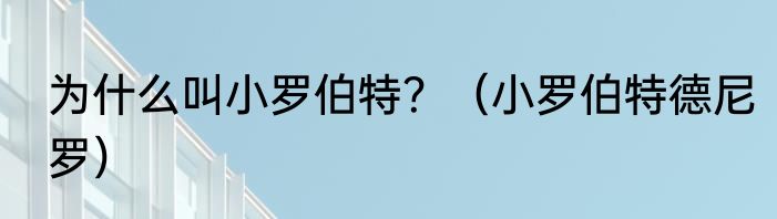 为什么叫小罗伯特？（小罗伯特德尼罗）