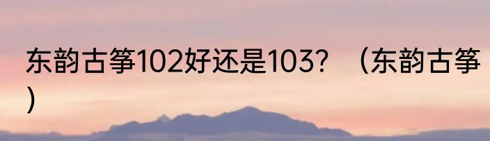 东韵古筝102好还是103？（东韵古筝）