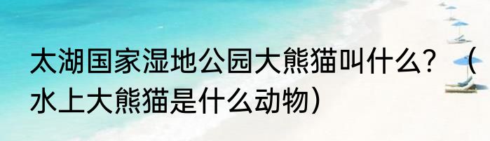 太湖国家湿地公园大熊猫叫什么？（水上大熊猫是什么动物）