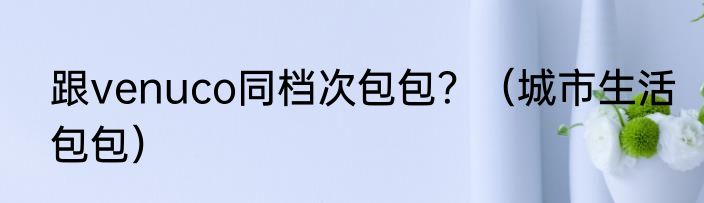 跟venuco同档次包包？（城市生活包包）