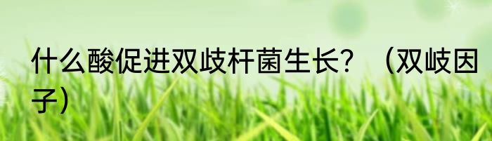 什么酸促进双歧杆菌生长？（双岐因子）