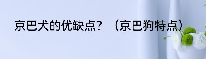 京巴犬的优缺点？（京巴狗特点）