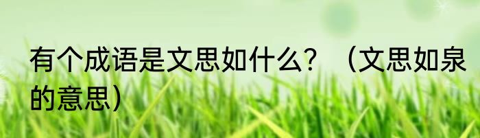 有个成语是文思如什么？（文思如泉的意思）