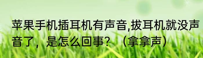 苹果手机插耳机有声音,拔耳机就没声音了，是怎么回事？（拿拿声）