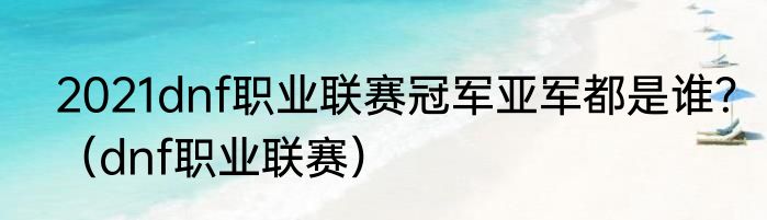 2021dnf职业联赛冠军亚军都是谁？（dnf职业联赛）