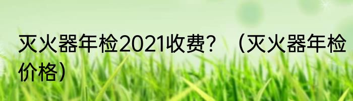 灭火器年检2021收费?(灭火器年检价格)