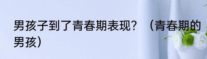 男孩子到了青春期表现？（青春期的男孩）