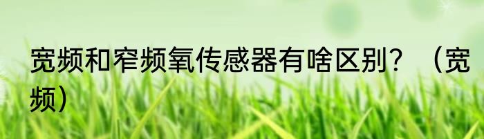 宽频和窄频氧传感器有啥区别？（宽频）