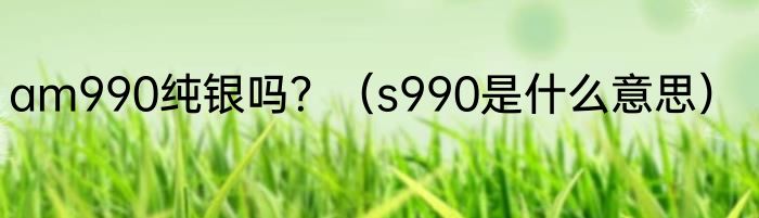 am990纯银吗？（s990是什么意思）