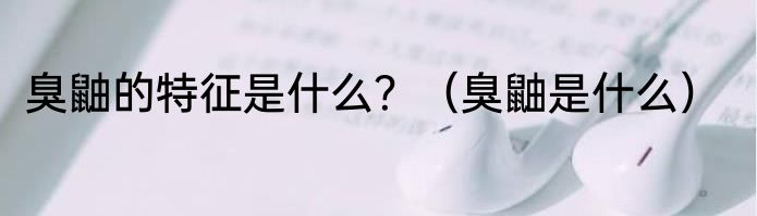 臭鼬的特征是什么？（臭鼬是什么）