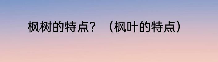 枫树的特点？（枫叶的特点）