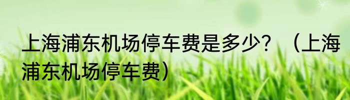 上海浦东机场停车费是多少？（上海浦东机场停车费）