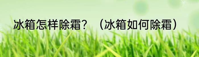 冰箱怎样除霜？（冰箱如何除霜）
