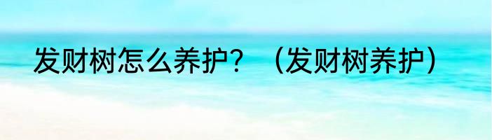 发财树怎么养护？（发财树养护）