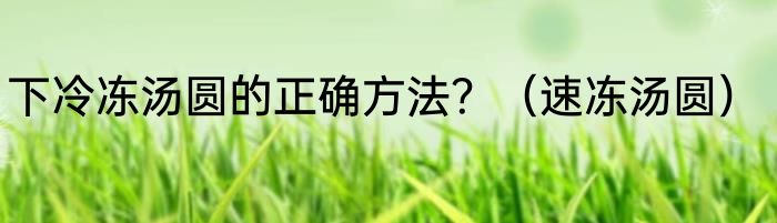 下冷冻汤圆的正确方法？（速冻汤圆）