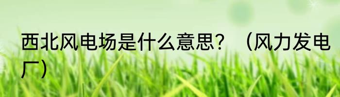 西北风电场是什么意思？（风力发电厂）