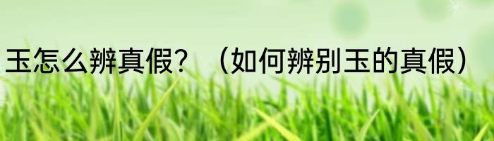 玉怎么辨真假？（如何辨别玉的真假）