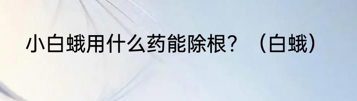 小白蛾用什么药能除根？（白蛾）