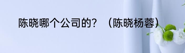 陈晓哪个公司的？（陈晓杨蓉）