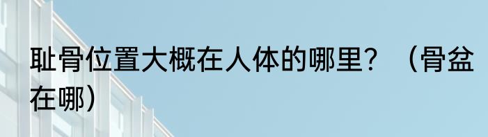 耻骨位置大概在人体的哪里？（骨盆在哪）
