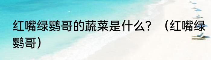 红嘴绿鹦哥的蔬菜是什么？（红嘴绿鹦哥）