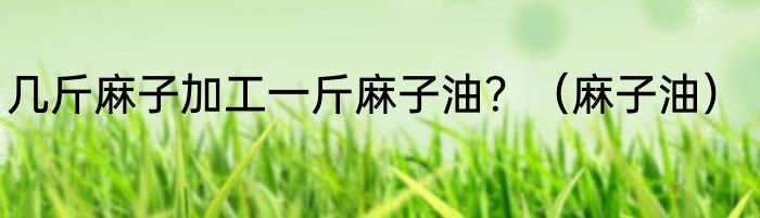 几斤麻子加工一斤麻子油？（麻子油）