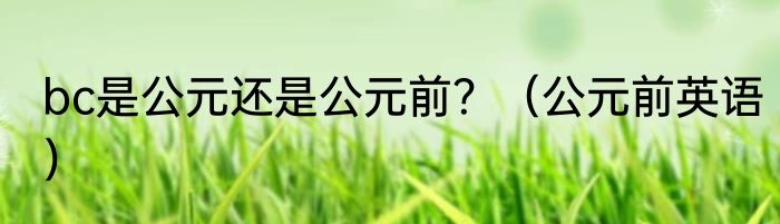bc是公元还是公元前？（公元前英语）