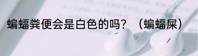 蝙蝠粪便会是白色的吗？（蝙蝠屎）