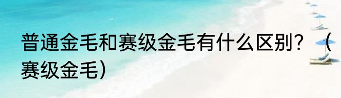 普通金毛和赛级金毛有什么区别？（赛级金毛）