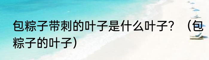 包粽子带刺的叶子是什么叶子？（包粽子的叶子）