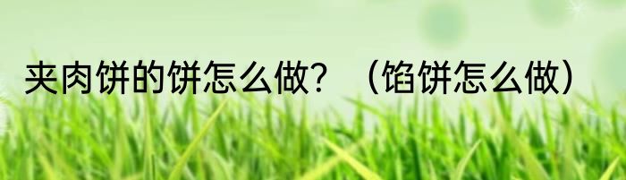 夹肉饼的饼怎么做？（馅饼怎么做）