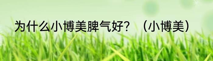 为什么小博美脾气好？（小博美）