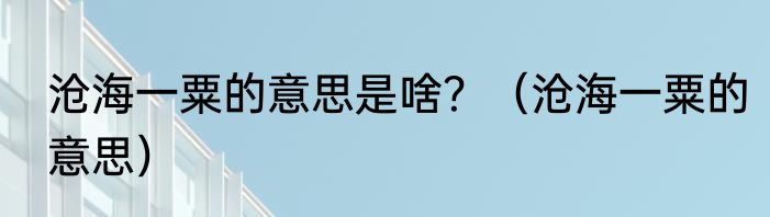 沧海一粟的意思是啥？（沧海一粟的意思）