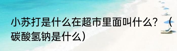 小苏打是什么在超市里面叫什么？（碳酸氢钠是什么）