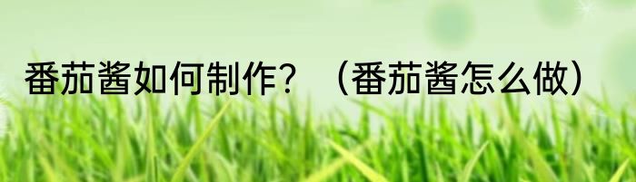 番茄酱如何制作？（番茄酱怎么做）