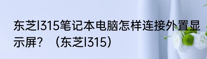 东芝l315笔记本电脑怎样连接外置显示屏？（东芝l315）