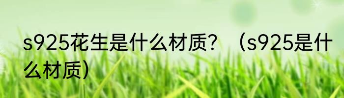 s925花生是什么材质？（s925是什么材质）