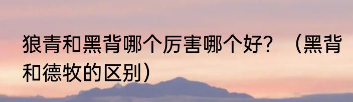 狼青和黑背哪个厉害哪个好？（黑背和德牧的区别）
