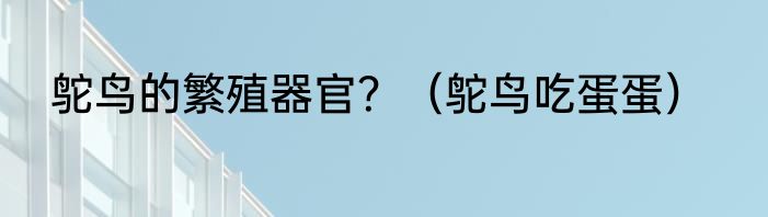 鸵鸟的繁殖器官？（鸵鸟吃蛋蛋）