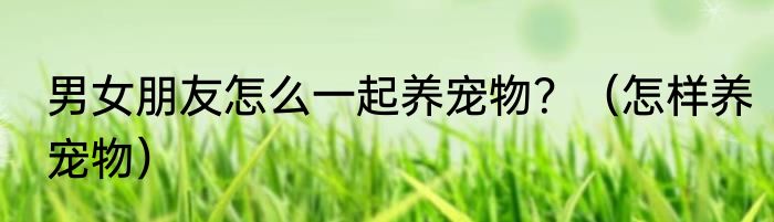 男女朋友怎么一起养宠物？（怎样养宠物）