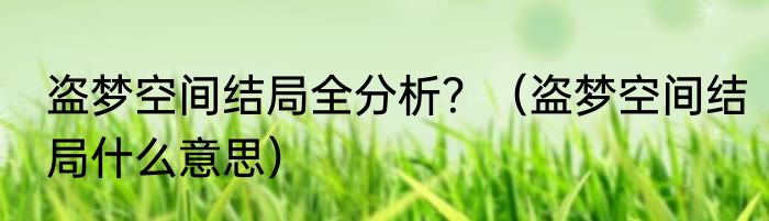 盗梦空间结局全分析？（盗梦空间结局什么意思）