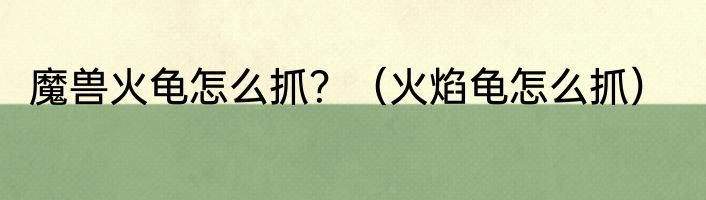 魔兽火龟怎么抓？（火焰龟怎么抓）