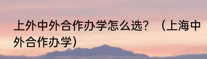 上外中外合作办学怎么选？（上海中外合作办学）