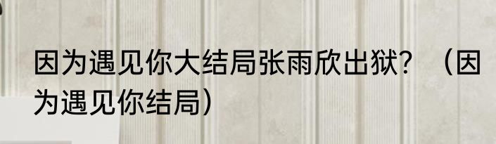 因为遇见你大结局张雨欣出狱？（因为遇见你结局）
