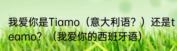 我爱你是Tiamo（意大利语？）还是teamo？（我爱你的西班牙语）